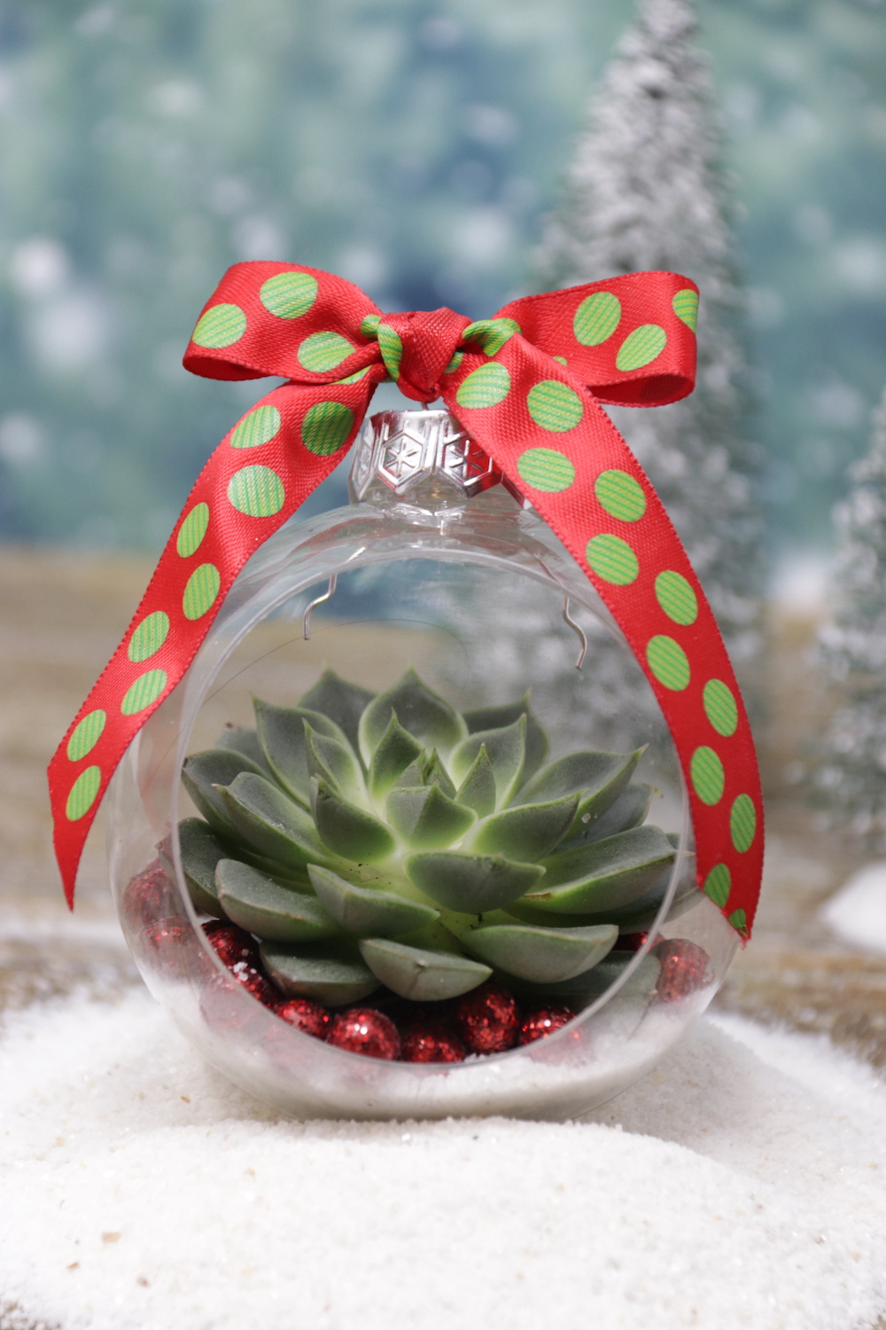 Succulent Christmas Ornaments Gather Lemons