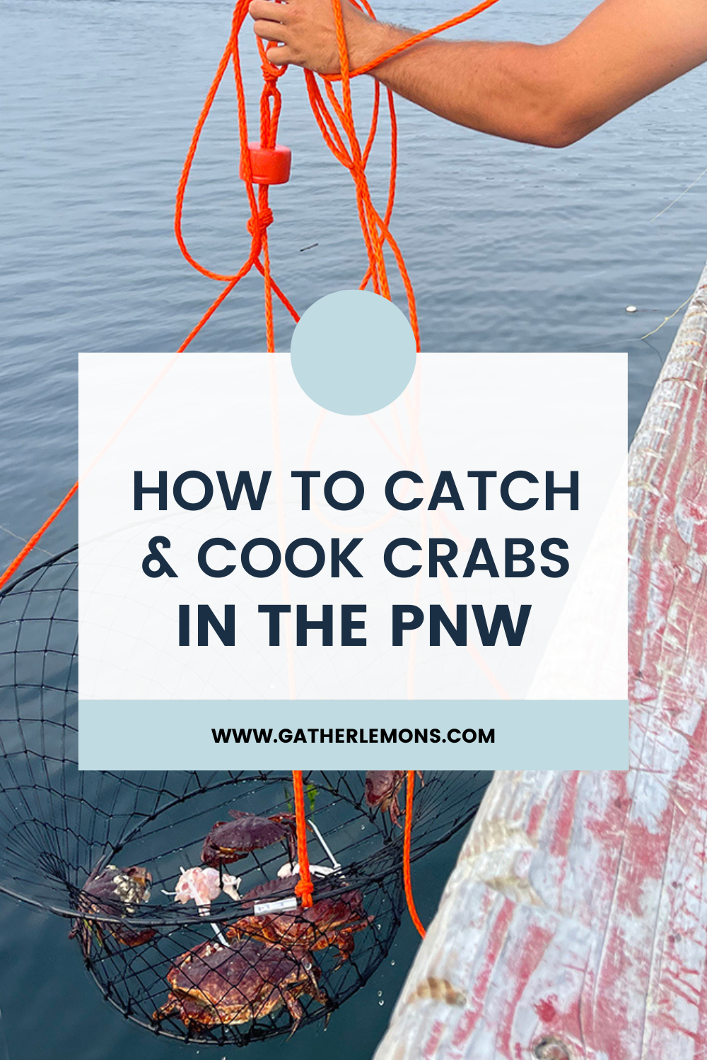 How to Catch and Cook Your Own Crab in the PNW - Gather Lemons