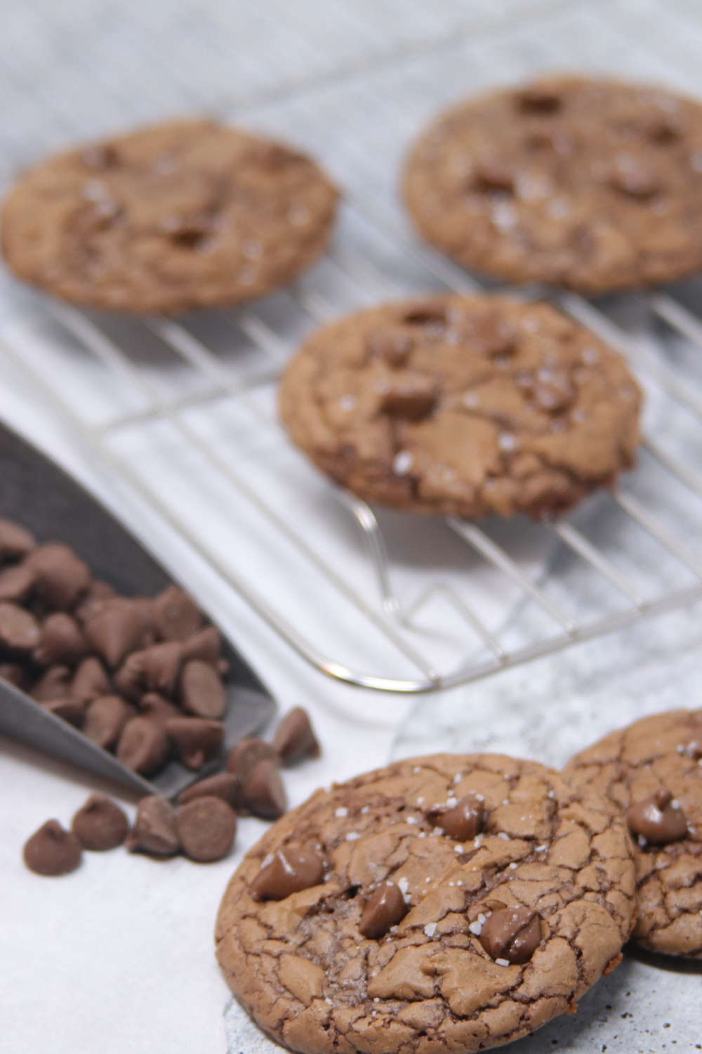 Salted Brownie Crinkle Cookies