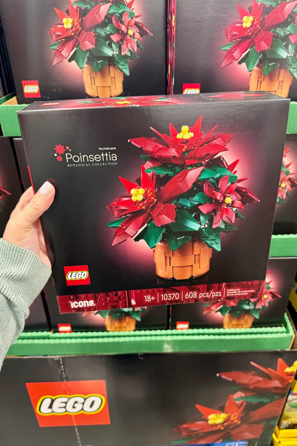 What to Expect at Costco (November 2024)