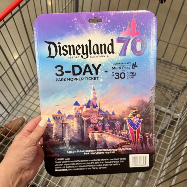 Costco Disneyland Ticket Deal 2025