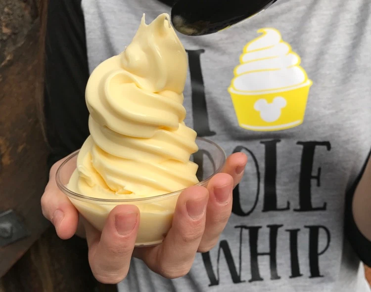 Tips for Disneyland in a Day