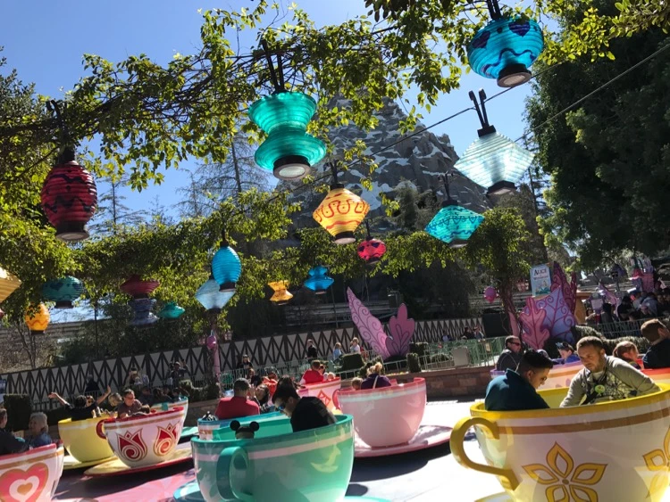 Surprise Disneyland Vacation 2-Day Trip Report