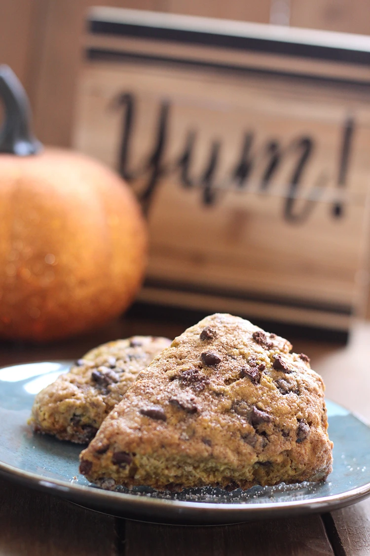Chocolate Chip Pumpkin Scones