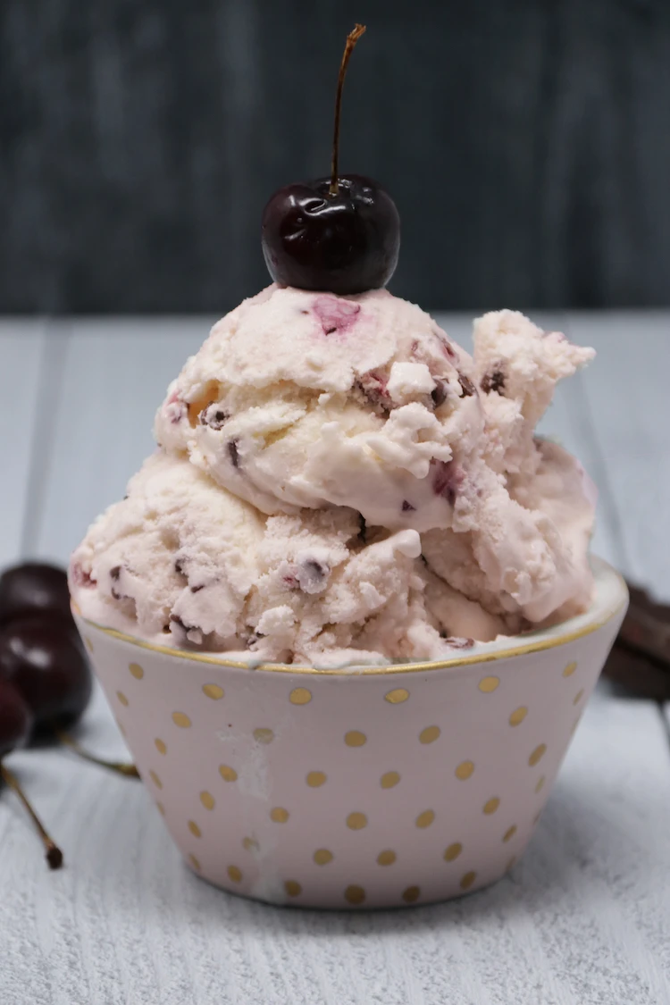 Chocolate Chip Cherry Ice Cream