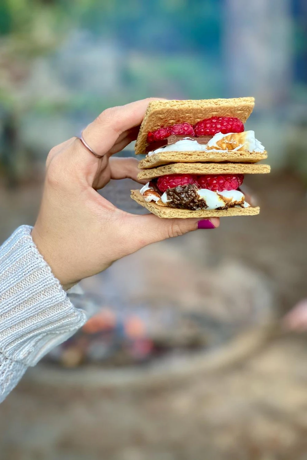Chocolate Raspberry S’mores