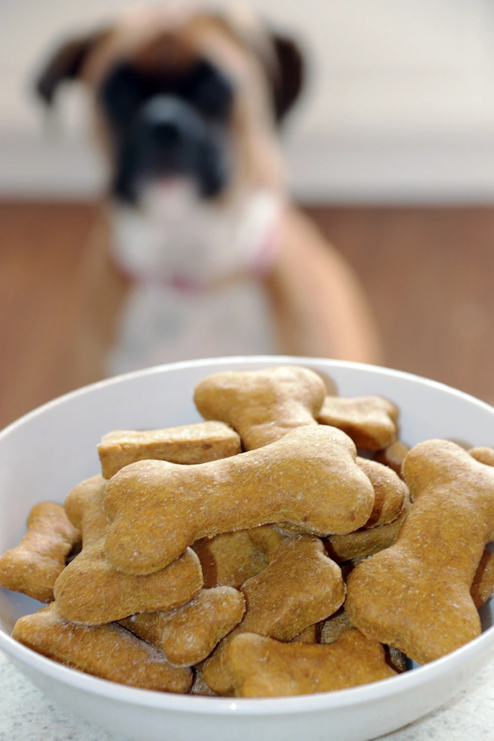 Homemade Dog Treats