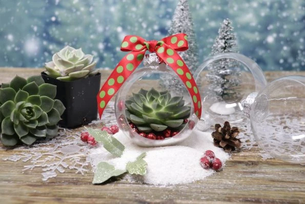 succulent art wall Succulent Window Nook