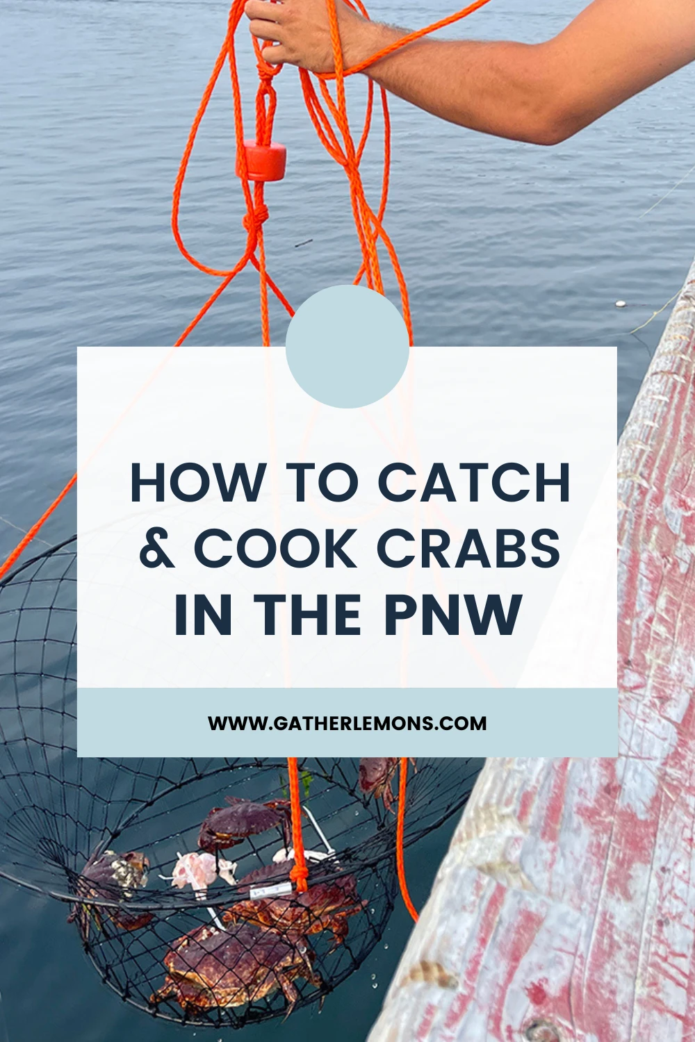 How to Catch and Cook Your Own Crab in the PNW