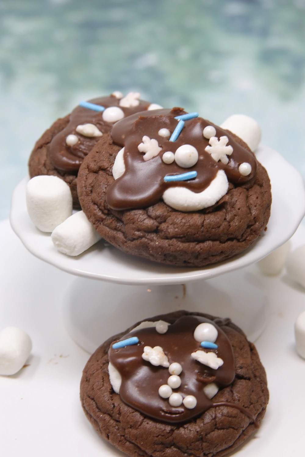Hot Cocoa Cookies
