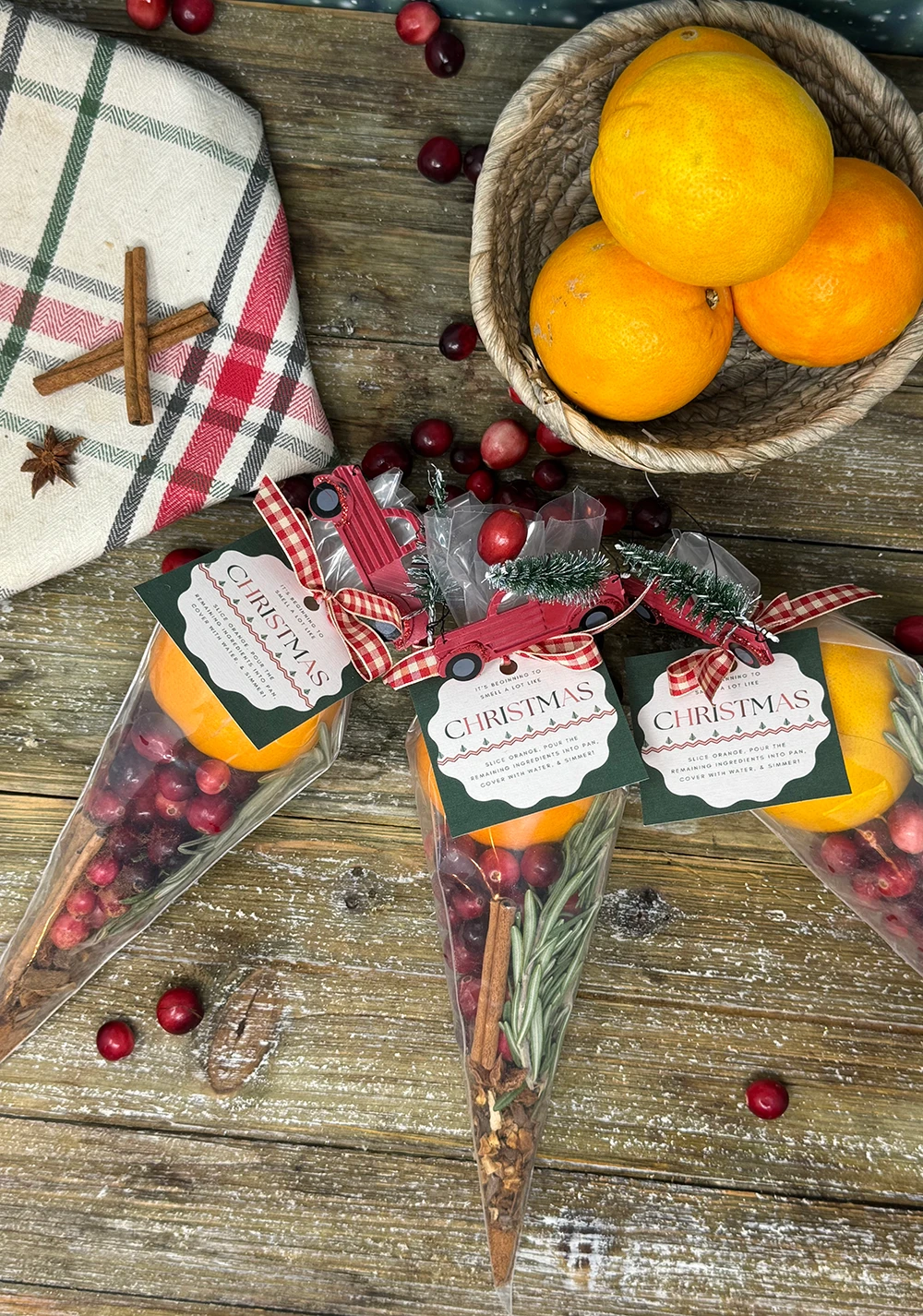 Holiday Stove Top Potpourri Gift Set